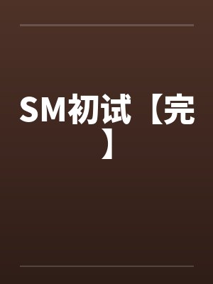 SM初试【完】