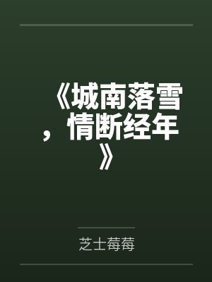 《城南落雪，情断经年》